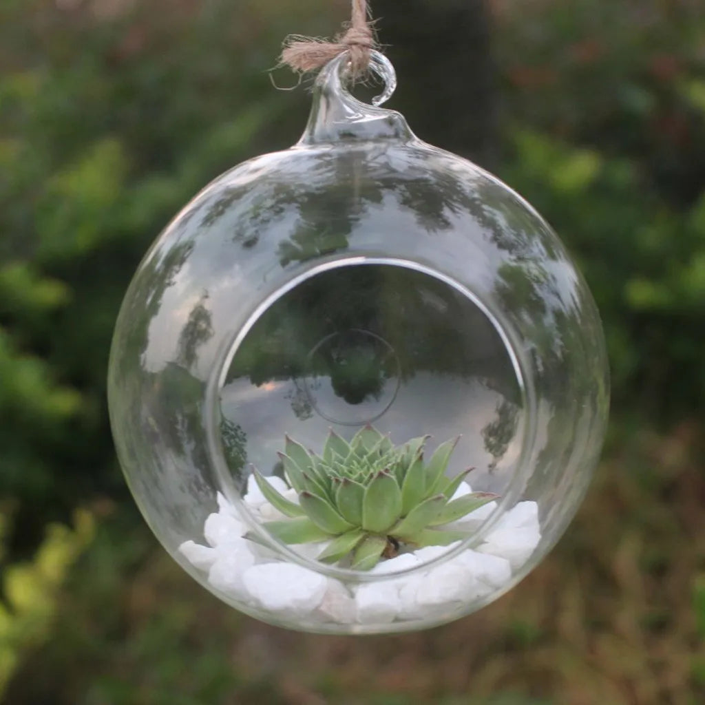 A clear glass hanging planter vase filled with small white stones and a green succulent plant.