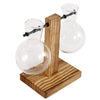 Pots en verre et bois modernes avec des ampoules transparentes montées sur un support en bois.
