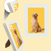 A custom photo frame displaying a golden retriever dog, shown in both a framed picture and a cutout mock-up.