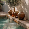 Terracotta pots with water spouts rest on a stone ledge beside a clear pool, shaded by an olive tree.