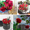 Realistic Velvet Artificial Roses – 20" Stems for Weddings & Home Décor