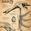 A detailed ink drawing of a Ukrainian Ironbelly dragon head and body, featuring text about the creature.