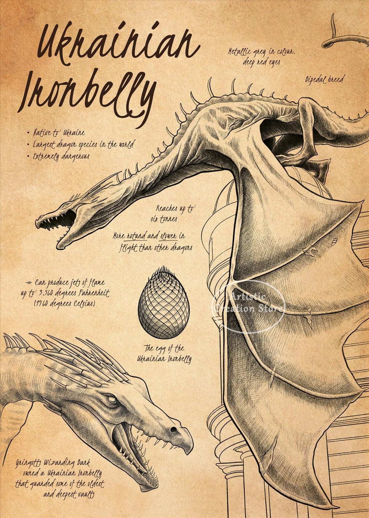 A detailed ink drawing of a Ukrainian Ironbelly dragon head and body, featuring text about the creature.