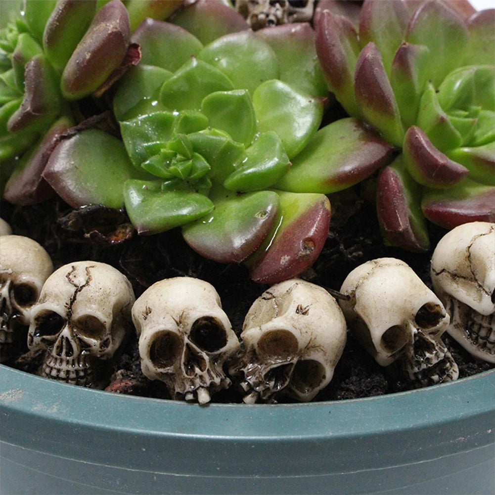 A succulent plant with reddish-green leaves growing around a collection of realistic skull figurines in a shallow bowl.