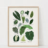 Botanical Philodendron canvas wall art featuring various green plant leaves in a framed print.