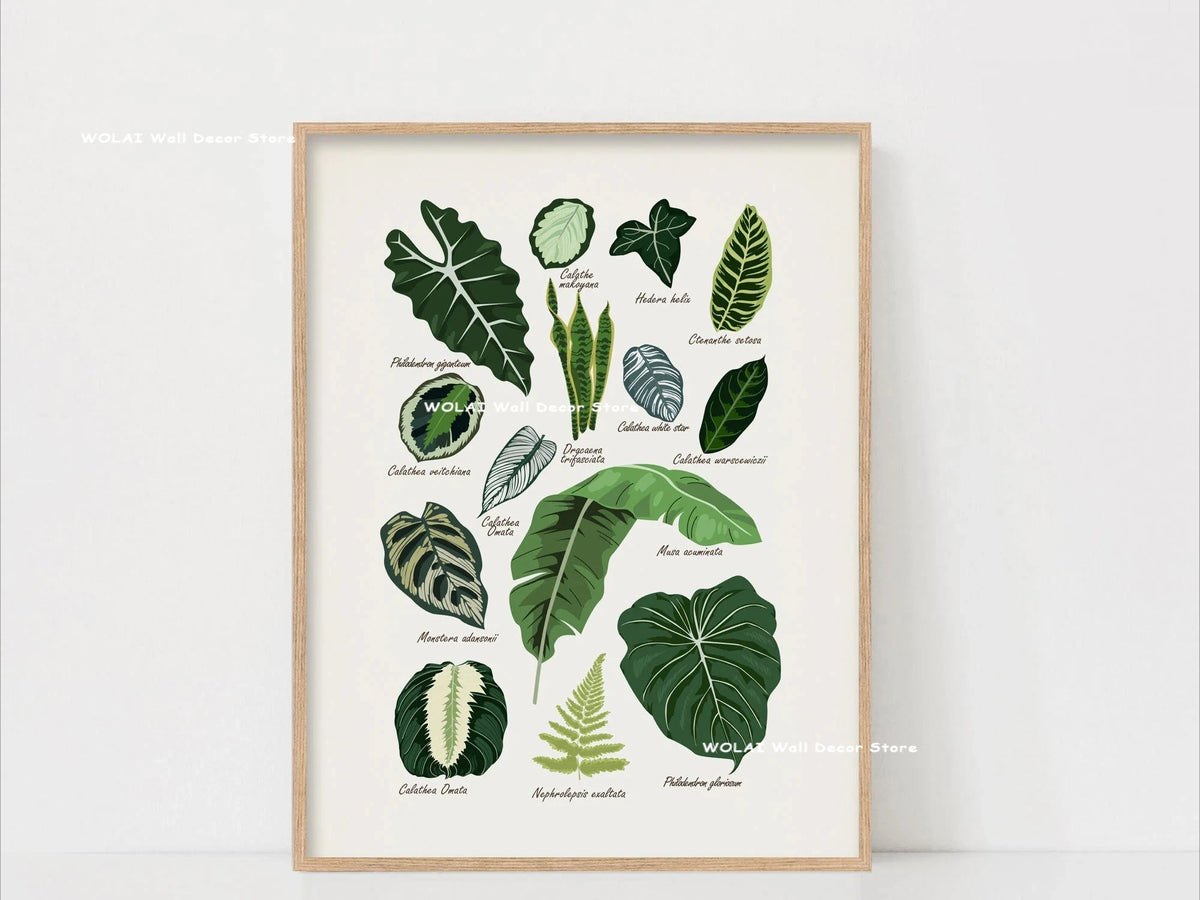 Botanical Philodendron canvas wall art featuring various green plant leaves in a framed print.