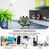 Crystal Lotus Flower Feng Shui Decorative Ornament
