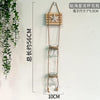 A decorative glass terrarium hanging by twine with a starfish charm, used for indoor plants.