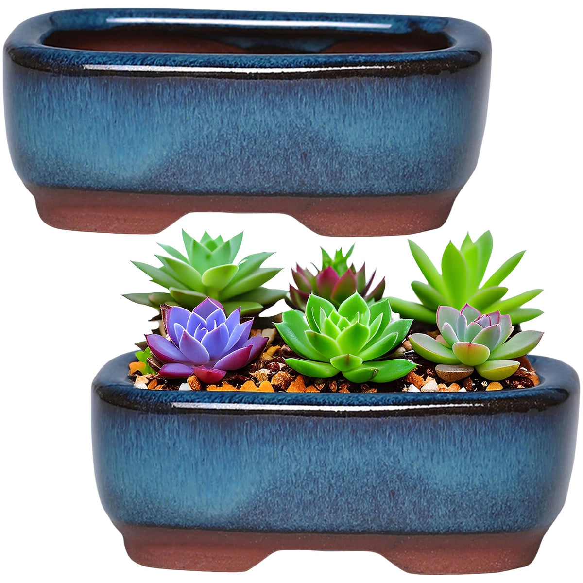 A ceramic succulent planter with a blue-green glaze and a terracotta rim, holding various green and purple succulents.