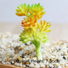 Artificial Succulent Bonsai for Desk & Home Decor