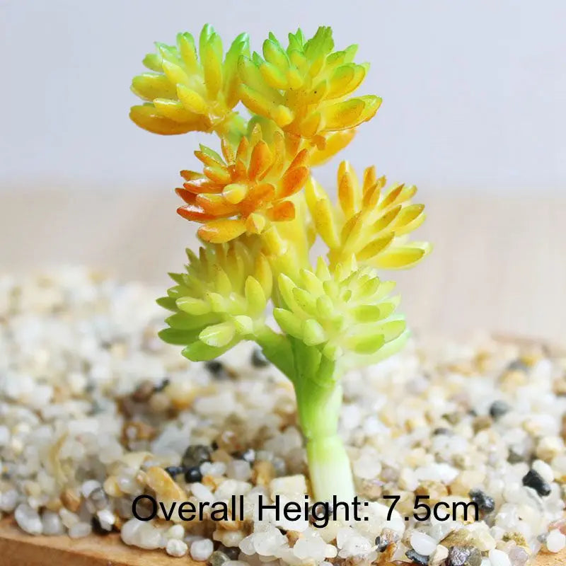 Artificial Succulent Bonsai for Desk & Home Decor