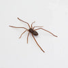 A brown magnetic acrylic cat whiskers decor with long, thin legs.