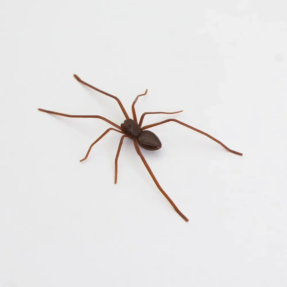 A brown magnetic acrylic cat whiskers decor with long, thin legs.
