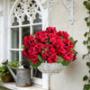 Cesta colgante llena de flores artificiales de geranio de seda roja vibrante, expuestas en una pared blanca.