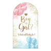 A watercolor arched backdrop featuring pink and blue balloons with gold glitter and the text Boy or Girl What will baby be