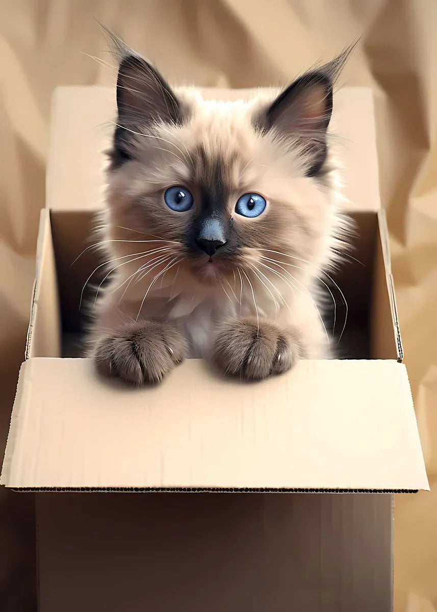 A fluffy, light brown and gray Persian kitten with bright blue eyes sits inside an open cardboard box.