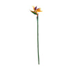 A vibrant artificial Bird of Paradise flower on a green stem.