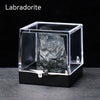 A clear glass box displays a rough, dark gray labradorite crystal specimen on a black surface.