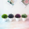 Trois bonsaïs artificiels en pots blancs avec un feuillage vert et violet vibrant sur une surface rose.
