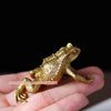 A brass money frog feng shui figurine is held in a person's hand against a dark background.