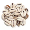 Natural Sea Snail Shell Beads for DIY Jewelry Making