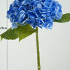 A close-up of a vibrant blue hydrangea flower cluster on a green stem and leaf.
