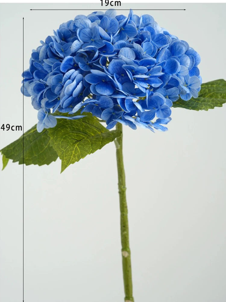 A close-up of a vibrant blue hydrangea flower cluster on a green stem and leaf.