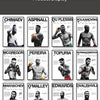A display of boxing fighter canvas wall art prints featuring various fighters like Chimaev, Spinall, and Gore.