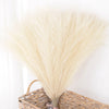 Un paquete de pampas artificial color beige claro para decoración del hogar