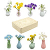 A collection of mini ceramic plant vases in various colors and styles for hydroponic propagation.