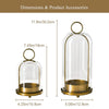Antique brass metal candle holders with glass domes shown with dimensions and accessories.