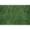 Dense, vibrant green tropical jungle leaf photography backdrop for parties and studio shoots.