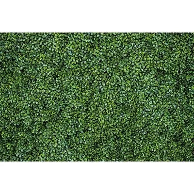 Dense, vibrant green tropical jungle leaf photography backdrop for parties and studio shoots.