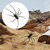Nahaufnahme einer dunkelbraunen Spinne vor einem Hintergrund aus Sand und Treibholz.