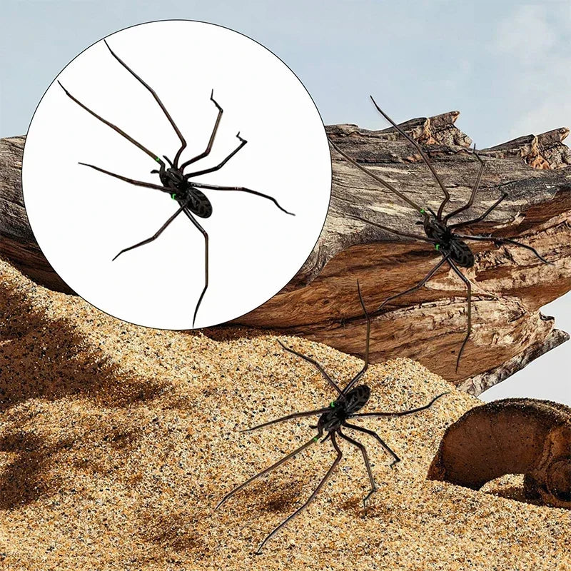 Nahaufnahme einer dunkelbraunen Spinne vor einem Hintergrund aus Sand und Treibholz.