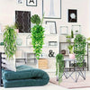A set of four artificial eucalyptus hanging vines displayed on a white shelf with various plants and decor.