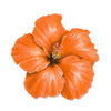 A vibrant orange hibiscus flower with yellow stamens.