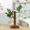 A wooden plant vase holds a small green plant with delicate roots in a clear glass container.