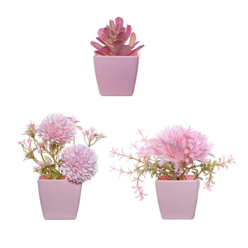 Three potted succulent plants in pink ceramic pots, showing different sizes and arrangements for home decor.