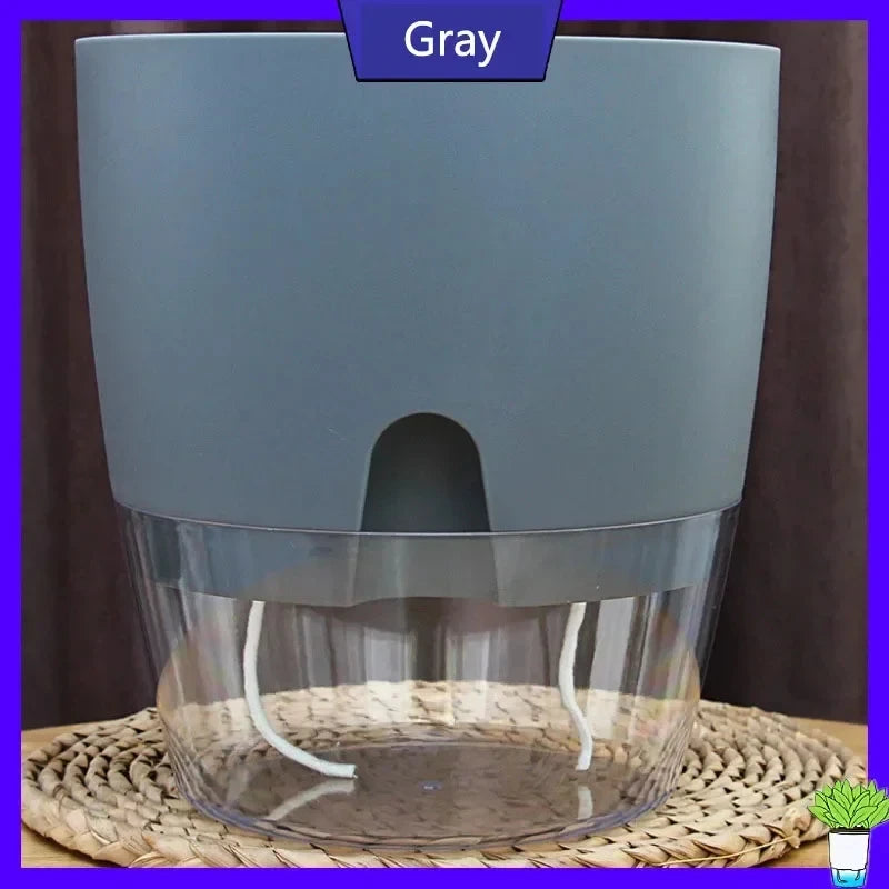 A gray self-watering transparent flower pot with a cotton rope visible at the bottom.