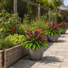A potted artificial Dracaena Boston fern with vibrant magenta and green leaves sits on a stone pathway.