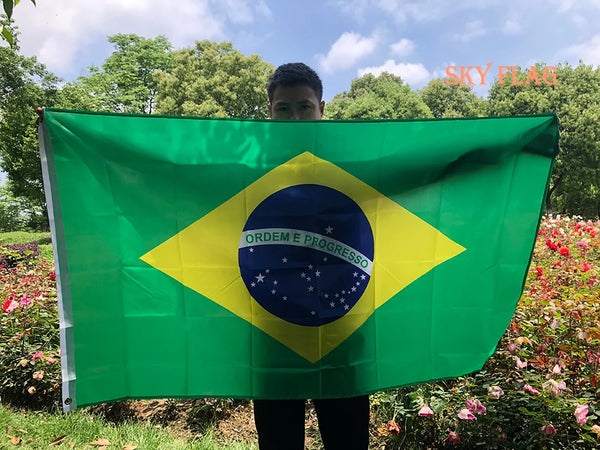 A person holds a large green Brazil flag displaying the national emblem on a sunny outdoor setting.