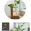 A transparent glass vase holds a green plant in a wooden stand, showcasing simple lines and elegant decorations.