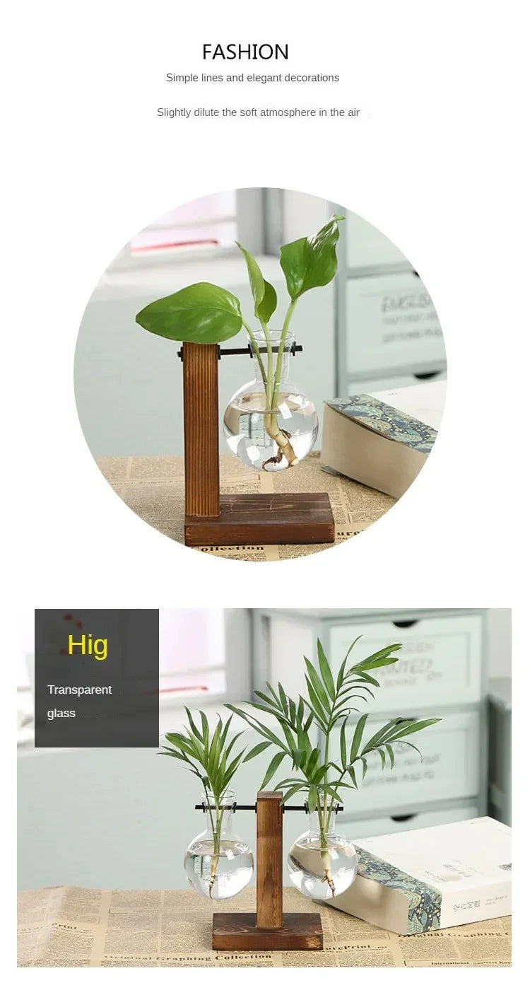 A transparent glass vase holds a green plant in a wooden stand, showcasing simple lines and elegant decorations.