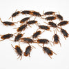 A collection of dark brown plastic cockroach gag toys scattered on a white background.