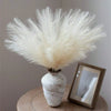 A bundle of fluffy white pampas grass stems displayed in a textured vase on a wooden surface.