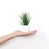 Set of 3 Artificial Evergreen Bonsai Plants