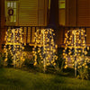 A row of solar garden lights with a starburst effect illuminating grass and plants in the evening.