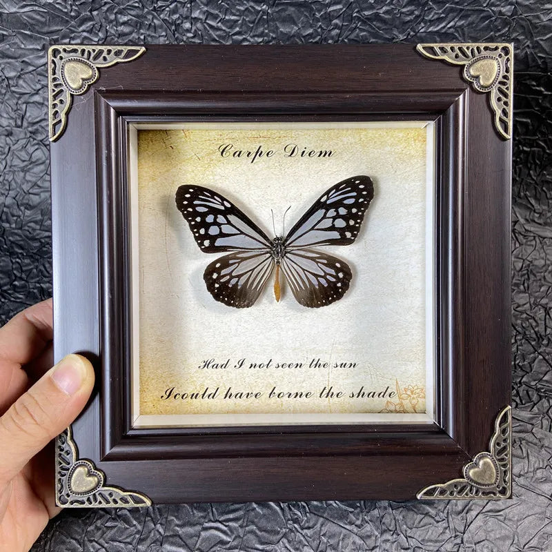 A dark wood frame holds a preserved butterfly specimen with text inside, framed as European-style wall decor.