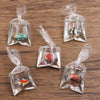 Colección de imanes de resina transparente con forma de peces payaso y otra vida marina, atados con cuerda para hacer joyería